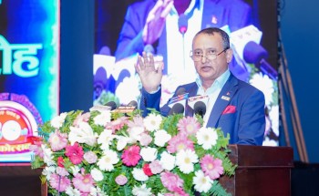 निजी ऊर्जा उत्पादकलाई पेलेर विद्युत प्राधिकरणले बहादुरी देखायो : मोहन डाँगी