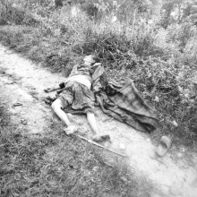 रामेछापमा जङ्गली जनावरको आक्रमणबाट ६५ वर्षीया महिलाको मृत्यु