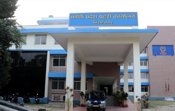 कोशी प्रदेशबाट गत आ.व. मा २६ हजार किलो बढी गाँजा बरामद, १७ लाख बढी बोट नष्ट