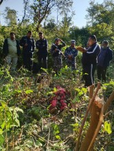 चितुवाले आक्रमण गर्दा एक महिलाको मृत्यु, दुईजनाले भागेर ज्यान बचाए