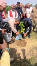 ग्लोबल आइएमई बैंकद्वारा देश व्यापीरुपमा वृहत् बृक्षारोपण कार्यक्रम आयोजना 