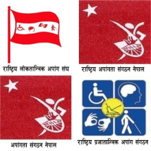 अपाङ्गता भएका व्यक्तिहरू नसमेटिएको निर्वाचन अध्यादेश सच्याउन सरोकारवालाको माग