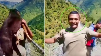 पशुलाई गर्ने दुव्र्यवहार कहिलेसम्म !