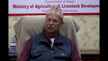 उखु र दुग्ध किसानका समस्याहरु समाधान गर्नेगरी काम गरेका छौं : कृषि मन्त्री