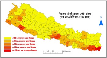 गर्मी बढेसँगै सुरू हुने वन्यजन्तु र मानिसबीचको द्वन्द्व