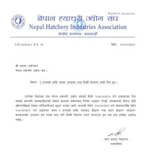 आज देखी कुखुराको चल्ला उत्पादन र बिक्रीबितरण नगरिने