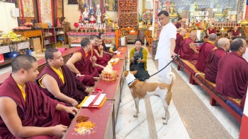 विश्व शान्तिको सन्देश फैलाउँदै चर्चित कुकुर ‘अलोका’ नेपालमा