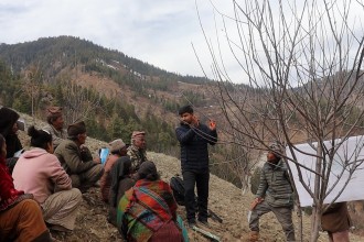 मुगुका कृषकलाई चुनावले छोएन, स्याउ बगैंचामै भ्याइनभ्याइ