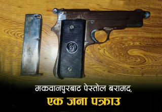 मकवानपुरमा घरभित्र लुकाइराखेको पेस्तोल बरामद, १९ वर्षीय युवक पक्राउ