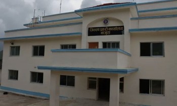 बाजुरामा बालविवाह मुद्धामा फरार र ज्यान मार्ने उद्योगमा फरार व्यक्ति पक्राउ