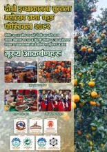 इच्छाकामनामा सुन्तला महोत्सव : पालिकामा १० करोड रुपैयाँसम्म कारोबार