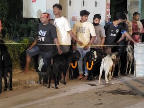 जनकपुरधामको राजदेवी मन्दिरमा १४ हजार ८९१ बोकाको बलि