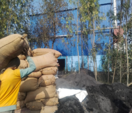 डल्फिन फिड्समा भेटिएको २,५०० किलो गुणस्तरहीन मकै नष्ट