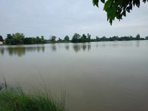 रौतहटका धान खेत जलाशयमा परिणत, किसान मर्कामा 