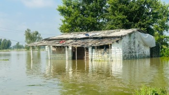 लखनदेई खोलामा आएको बाढीले भाडसर खुटौनाको बस्ती र धान खेत डुबानमा