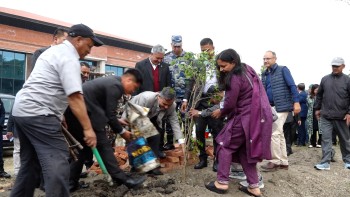 सिंहदरबार परिसरमा वृक्षारोपण, फुर्सदिला मन्त्रीहरु उत्साहपूर्वक सहभागि