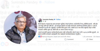 बादलको अभिव्यक्तिप्रति पाण्डेको आपत्तिः दोष खोज्नु भन्दा सरकारको अकर्मण्यता स्वीकार्नुपर्छ