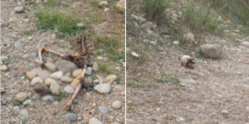 सर्लाहीमा टाउको र शरीर छुट्टिएको अवस्थामा मानव कङ्काल फेला