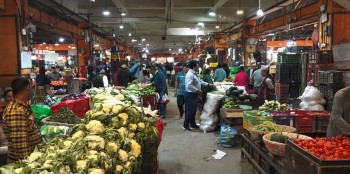 गाउँमा दशैँ मानेर राजधानी फर्किए उपभोक्ता