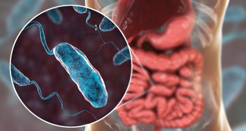 रौतहटमा फैलियो झाडा पखला