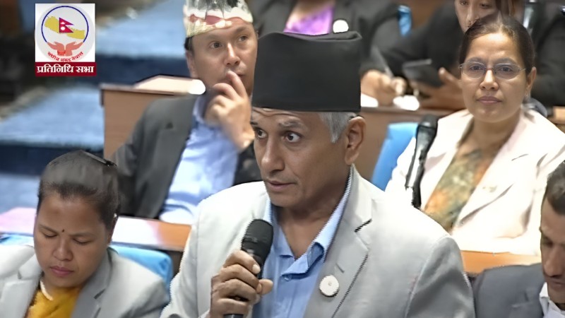 सरकारले संसदलाई अपहेलना गर्यो : पाण्डे 