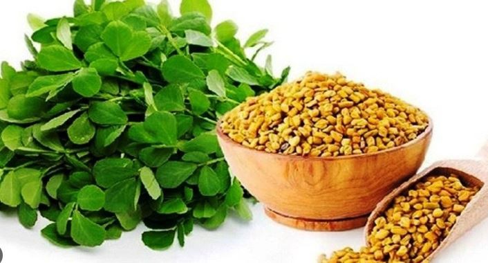 नासाले अन्तरिक्षमा मुगु र मेथी उत्पादन गर्दै, होला त सफल ?