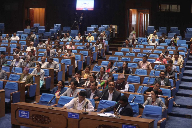 प्रतिनिधि सभा बैठक २९ गते बस्नेगरि स्थगित 