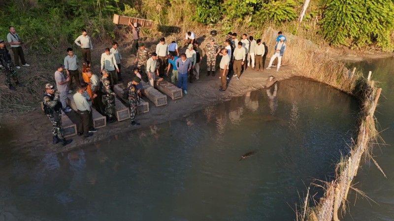बर्दियामा तेस्रोपटक गोही प्राकृतिक बासस्थानमा छाडियो 