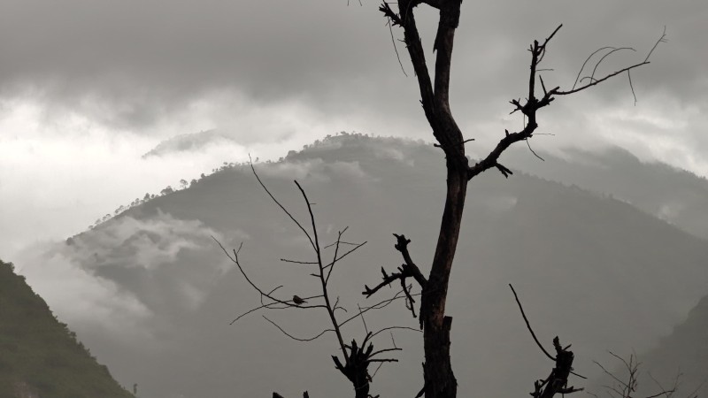 बाख्रा खोल्ने क्रममा चट्याङग लागेर वृद्धको मृत्यु