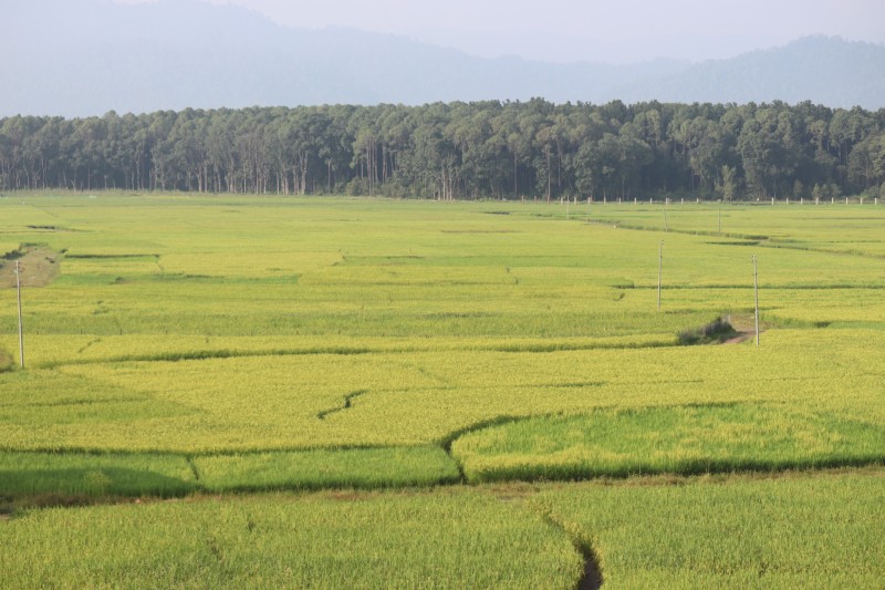 कर्णालीमा खेती गरिएको ६९ प्रतिशत जमिन सिँचाइविहीन