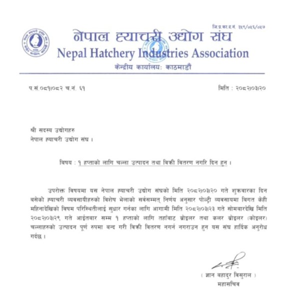 आज देखी कुखुराको चल्ला उत्पादन र बिक्रीबितरण नगरिने