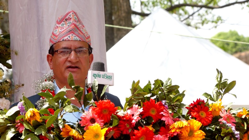 ‘पुष्प व्यवसायलाई विदेशी बजारसँग प्रतिस्पर्धा गर्नसक्ने क्षमता विकास गर्न आवश्यक’