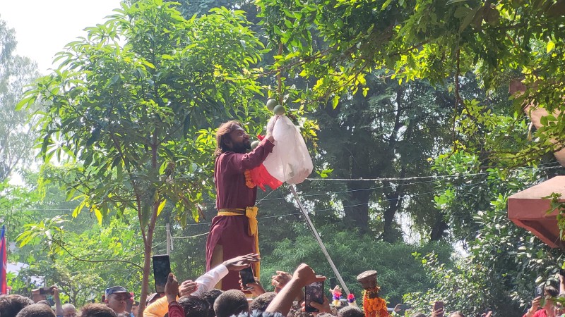 मिथिलाञ्चल क्षेत्रमा ‘बेलतोडी’,  यस्तो विधि र परम्परा