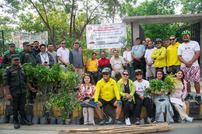 सडक किनारा, पार्क, नदी किनारामा समी, कपुर, फलफुलका विरुवा रोपिए