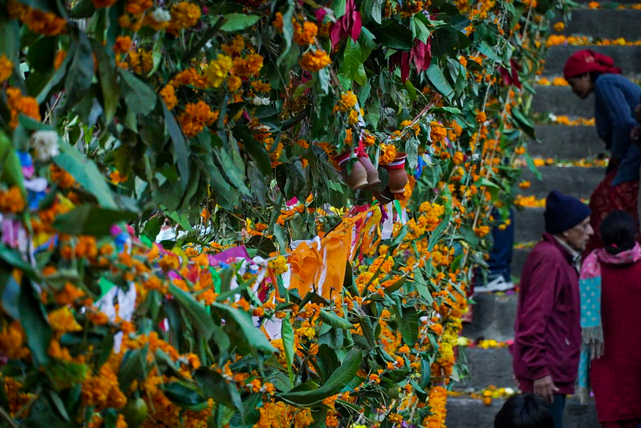 Decorating-Pashupatinath(Haribodhani-yekadasi)5-1731392925.jpg