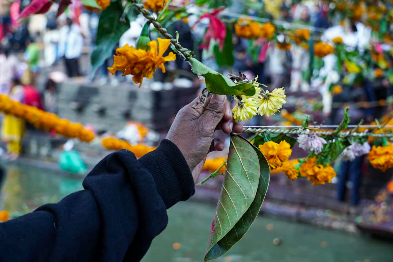 Decorating-Pashupatinath(Haribodhani-yekadasi)6-1731392936.jpg
