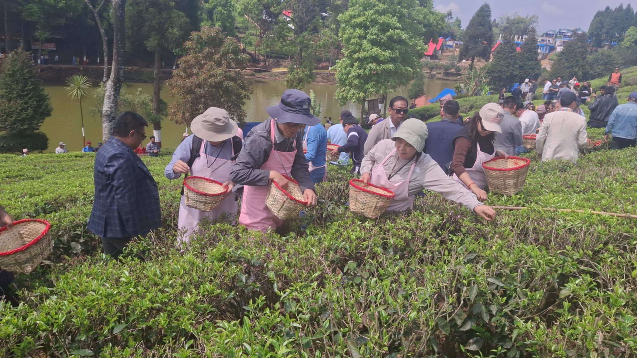 ILam4-1744622467.jpeg
