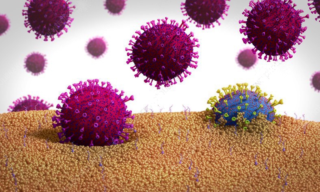 फेरि बढ्न थाल्यो कोरोना ग्राफ 